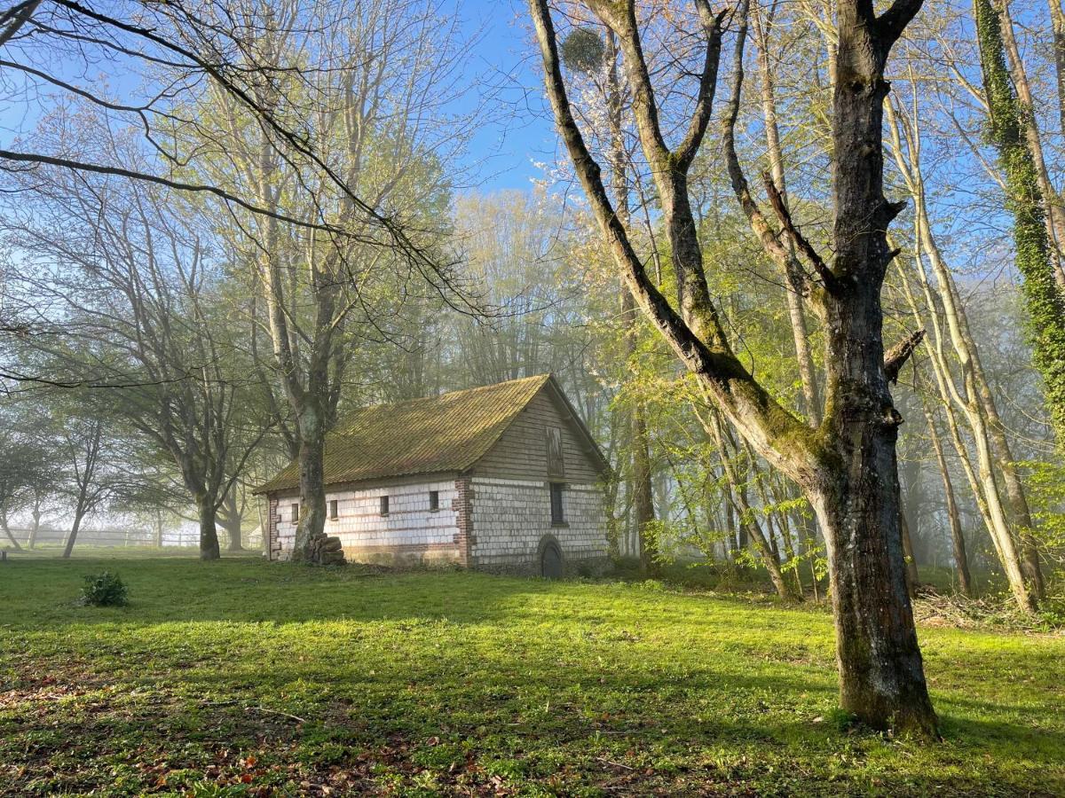 Bed and Breakfast Domaine De Fresnoy Loison-sur-Créquoise Esterno foto